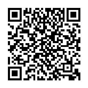 甚至很多女人在修炼的时候故意用灵气去修复自己的骨骼和面庞二维码生成