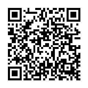 甚至是在总统竞选中为美国将来的总统提供大量的资金支持二维码生成