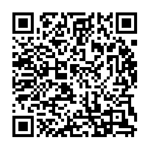 甚至是能够让他们以性命相博的天材地宝对于他们而言却是根本不值一提二维码生成