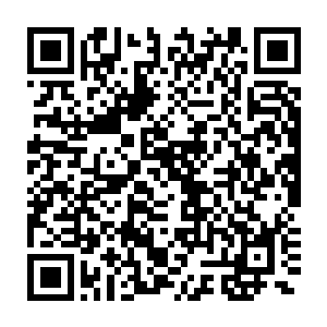 甚至是莉莉安用逃婚来和他分手的那个晚上都没有出现过的表情――二维码生成