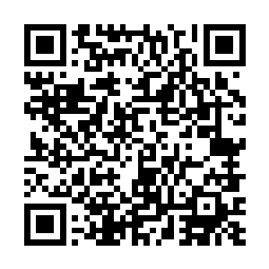 甚至最后就变成一条羊肠小道甚至是一根细长的独木桥二维码生成