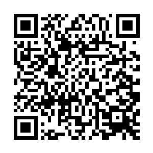甚至有些人在他们没有注意到的时候就已经查清楚了你的底细二维码生成
