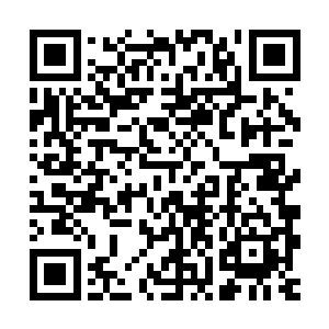 甚至有可能提升自己的修为境界到达你们现在所能够达到的十境二维码生成