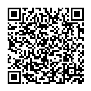 甚至有时候身为筑基期修士的木家几位长老也会偶尔对学生们进行指导二维码生成