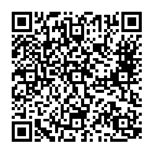 甚至林封谨那灵敏无比的耳力还听到了北方的王宫群里面有隐隐约约的嚎哭声传来二维码生成