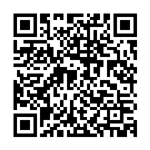 甚至没有戏份只在边上坐着的元泉……哪怕同学们表现得再夸张二维码生成