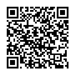 甚至流墨墨还抽空直接摄取提纯成能量珠塞戒指里的时候二维码生成