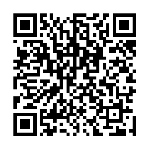 甚至现在已经有不少综艺节目邀请白玉京和朱强他们去参加二维码生成
