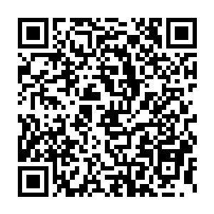 甚至秦方还会开始绽开自己的反击……就算是不能够完全灭杀整个丁家二维码生成