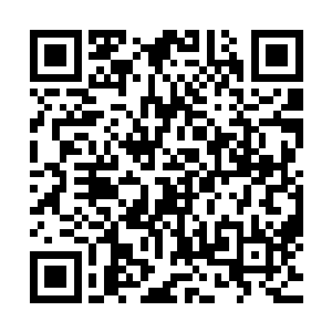 甚至脸上还冒了一些小豆子出来……秦瑶无不怨毒地看着梓箐二维码生成