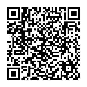 甚至自己刚才在电视上看到的那个主持人竟是将一个紧张兮兮的警察拨开二维码生成