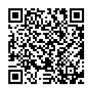 甚至超过张铁当初在威夷次大陆搜刮三眼会家族和魔帅的收获二维码生成