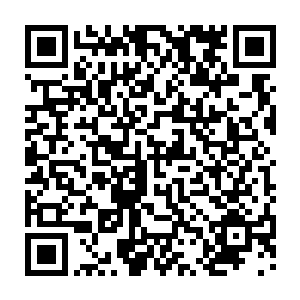 甚至身上这连一滴血都没有留下来……这更是狠狠的打击了这两位的嚣张气焰了二维码生成