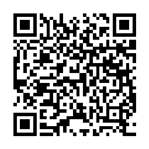 甚至还再次想象了一下雨果和桑德拉闹出绯闻的可能性二维码生成