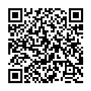 甚至还在里面做了大量的批注和写了几十本读书笔记二维码生成