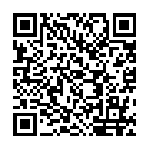 甚至还没有收取患者任何费用的行为就算是认真追究的话二维码生成