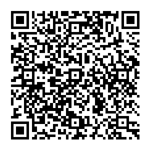 甚至还要依附于原住民――这些在他们的祖辈身上已经验证过了――可是张潇晗却忽然展示出他们不理解的能力二维码生成