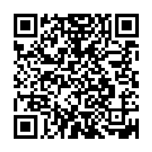 甚至这些字画搞不好还是沾了血的……可秦方暂时管不了那么多二维码生成