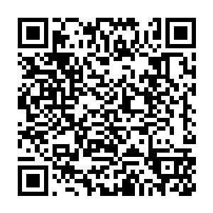 甚至连他的父亲也起过让他那个同父异母的弟弟继承城主之位的心思二维码生成