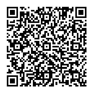 甚至连他自己都一样非常龌龊的把握着甄婕那对丰乳时却还存着一番心思回忆和甄妮在一起时的差异二维码生成