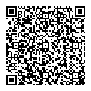 甚至连十三太保横练金钟罩练到了何等程度都已经分析的相当清楚了……不愧是可以坐镇一个拳场的总管级别的人物二维码生成
