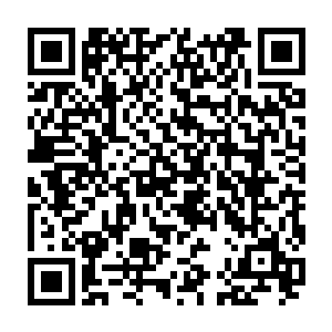 甚至连我们身后不远处的大殿里传来的热闹的喧嚣声都无法将这一刻的冰冷融化二维码生成