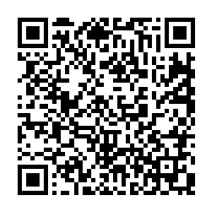 甚至连新闻都播放其他电视台的zdc竟然破天荒的开始为自己的新节目宣传了二维码生成