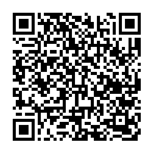 甚至连神皇初期大能也奈何不了的九大天才却被同样是神王初期的沈凡两招擒下二维码生成