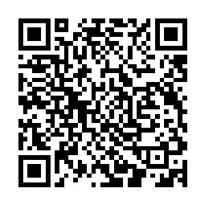 甚至连那些已经脱离了白羽门到俗世当中去建立世家的弟子们二维码生成