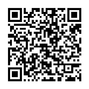 甚至连那张架子床上的楠木枕和锦被都仔细找过了二维码生成