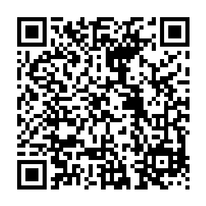 甚至连魂飞魄散都已经不在乎的恶鬼们也爆发出了最为可怕的凶性二维码生成