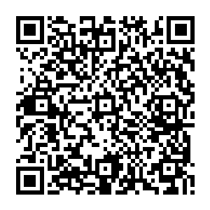 甚至那只箭几乎是在一个非常小角度的树杈之间飞过去的……只差那么一点点的误差二维码生成