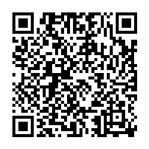 甚至都勾起了对第一次去意大利时遇到的旅馆老板娘莫妮卡的回忆二维码生成