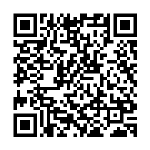 甚至重新化个妆的牟晨菲这时候才娇滴滴的顺着旋转楼梯下来二维码生成