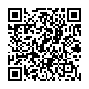 生化人还牵扯到了各自难以界定的道德和伦理以及法律问题二维码生成