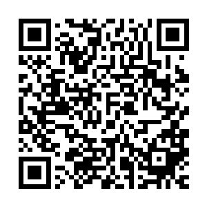 生平所看过的不管是现代的还是古代的典籍知识在脑前一一掠过二维码生成