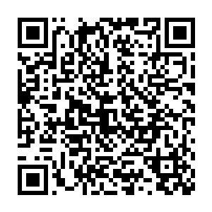 生生的把生命力几乎被毒素裹挟拔空的陌路离殇从死门关给拉回来~二维码生成