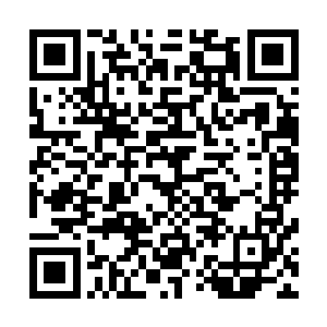 用不了太长的时间小寇所夺舍的这个生物兵器就会撑不住的二维码生成