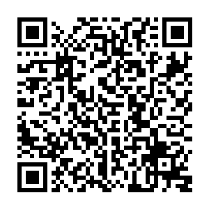 用了一个中国功夫一样的动作继续投入进攻荣的这个动作完全把马赛球员吓住了二维码生成