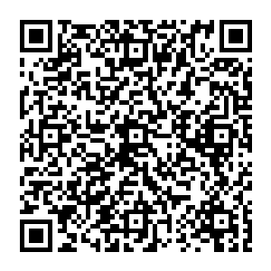 用他们身体里的所有能量演绎着每一个音符站在舞台下的三百多名观众则肆意释放着自己的热情……二维码生成