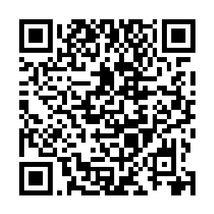 用他生命的最后一眼看到的是他不曾流下一滴鲜血的伤口二维码生成