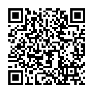 用他的右手食指狠狠的点着满脸苦相的海龟族长的额头吼道二维码生成