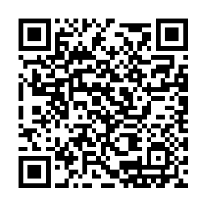 用八连冠将雨果一兰开斯特送上了票房新星的位置二维码生成