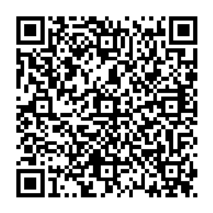 用冰冷而讽刺的眼光看着我和我身上穿的那一身已经表明了我所有的身份和家庭背景的衣服二维码生成