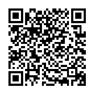 用几个月的时间来凑齐修炼神魔真体第一转初成的材料不成问题二维码生成