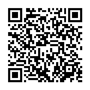 用双手生生掰开了程牧那如同蟒蛇状缠勒着自己的脖子二维码生成