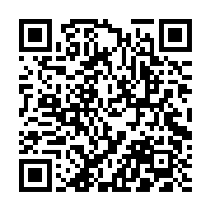 用各个灵网节点上的散布式数据库来标记和存储交易记录二维码生成