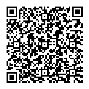 用四颗不知道什么时候就会无故消耗在一些次要场合之中的魂劫之果为自己在轩辕之丘赌一个一石二鸟的计划二维码生成