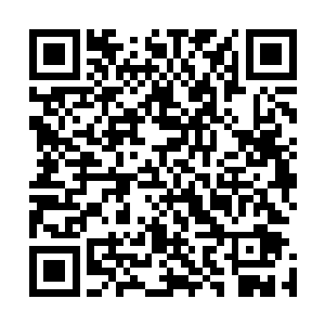 用大量的符箓轰击僵尸的事情还是在北地修仙界传播了开来二维码生成