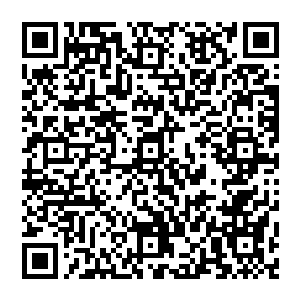 用完全配得上娜塔莎豹子般迅猛的动作一个虎扑就把铁钳般的双手一起抓住了最近一人握刀的手腕二维码生成